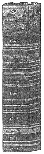 COAL-MEASURES OF PENNSYLVANIA