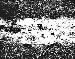 Photograph of ground traces