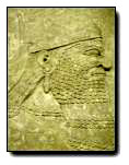 [Click to enlarge image]