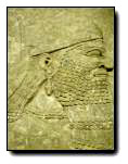 [Click to enlarge image]