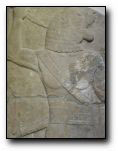 [Click to enlarge image]